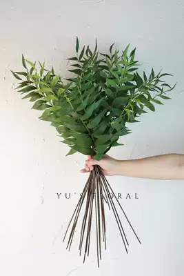 Simulation flower Simulation Green plant leaf material Wind shadow leaf Natural flower arrangement material Green sheep tooth leaf willow leaf