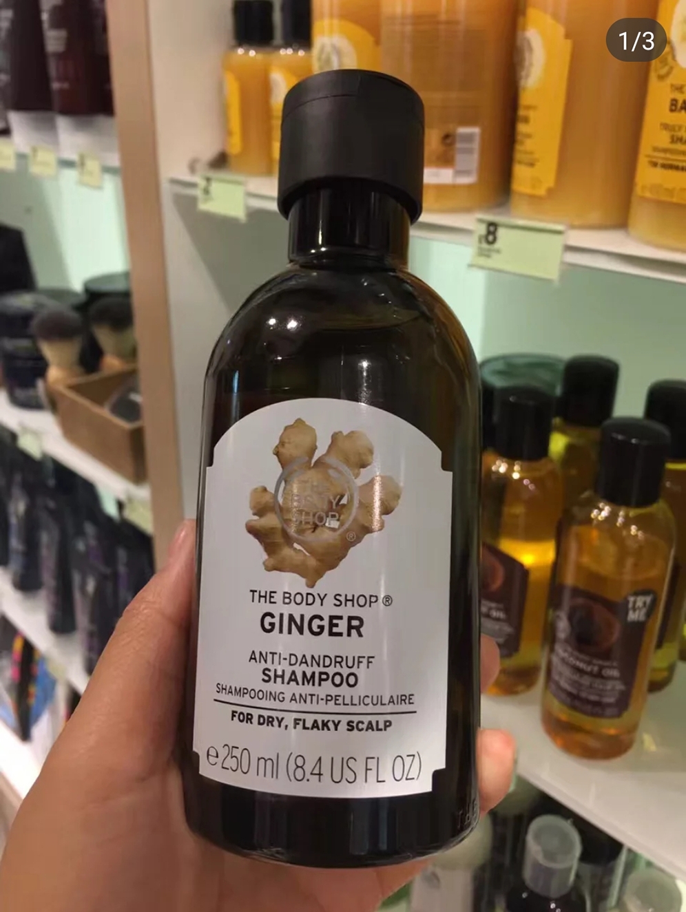 The Body Shop ginger shampoo imported from the United States dandruff antipruritic oil control 400ml silicone oil free