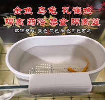 Hook Isolated Case Turtle Fry Live Fish Tank Peacock Fish Hatchbox Rearing Box Goldfish Lost air bladder Forbidden Food isolation basket