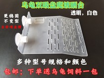 Turtle Sun Terrace Climbing Terrace Turtle terrace Turtle Sun Back Terrace Floating island Floating Island Climbing and Surface Aquarium Aquarium Building the Great Number