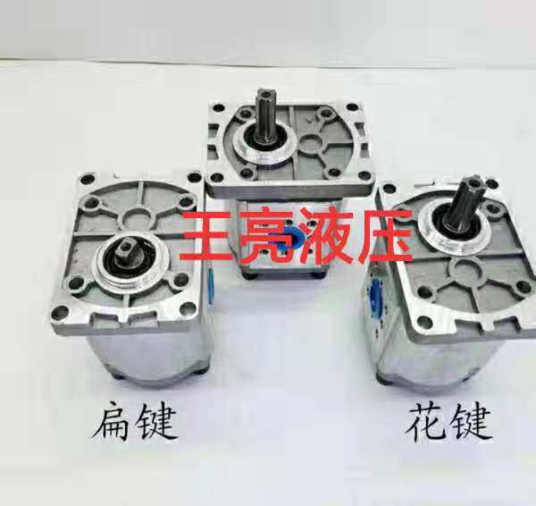 Hydraulic oil pump gear pump CBN-F306 310 314 316 320 325 spline flat key