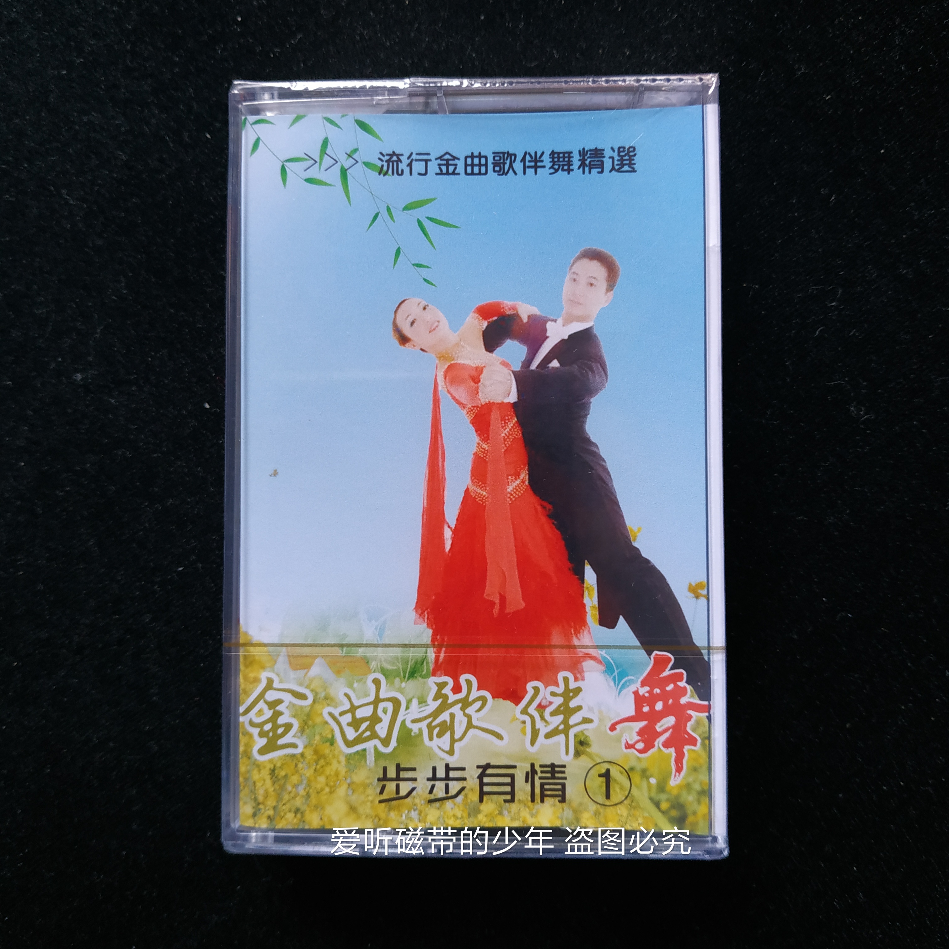 Golden Song Companion Dance Tape Platform 80 Years of Burning United Singing Dance Song Dance 4-Four Ballroom Dance Classic Old Songs
