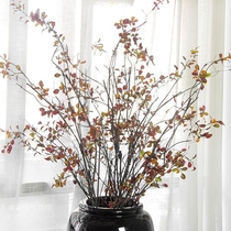 Large red hand leaves simulated leaves plant pot flower flower in the art flower flower in the flower room