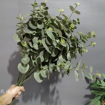 Simulation flower simulation leaf simulation plant eucalyptus leaf money leaf arrangement flower Flower wedding flower