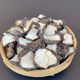 Selected Natural Large Slices of Dried Water Chestnuts, Fresh Sliced Water Chestnuts, Water Chestnut Root, Sugarcane, Cantonese-Style Sugar Water, Herbal Tea Ingredients