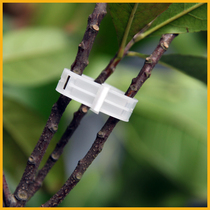 Hami Melon Clip Tomatoes Cucumbers Tied With Cranks And Clamps Tied Branches Clip Hammered Tendrils Plastic Plants Fixed Small Clips