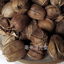 Aristolochia Madu Aristolochia Zero Water Horse Fragrant Fruit Wood Fragrance Jar 500g Free Grinding Powder of Chinese Herbal Medicines