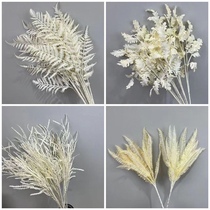 White artificial flower decoration wedding wedding ornaments flower material imitation immortal soft decoration flower material white fern leaf silver leaf chrysanthemum