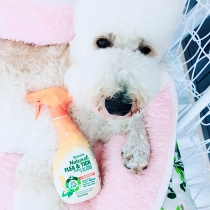 American clean natural plant deodorizing flea spray to kill tick and lice - cleaning and smelling aromas