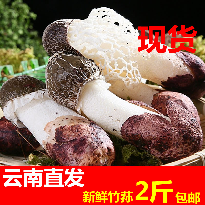 2 kg fresh bamboo mushrooms Yunnan province fresh bamboo sheng egg special grade fresh bamboo mushroom long skirt foot sun bamboo sun hot pot 1000g