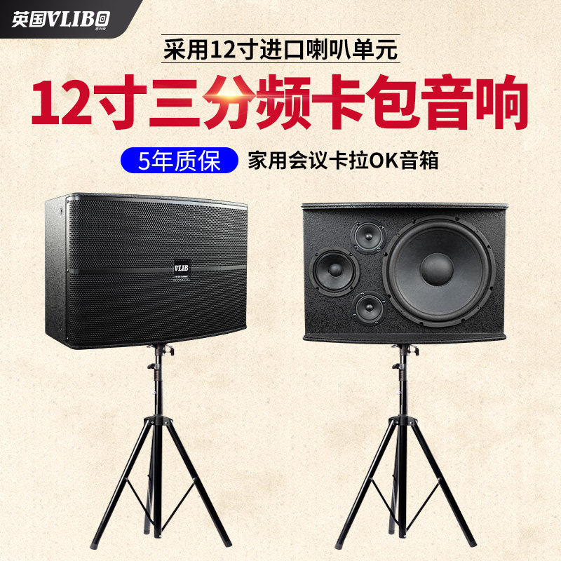 UK VLLCBO Home KTV Sound 10 inch Karok Sound equipment Conference Home K Song 8 inch Carpack speaker