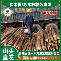 Fire-shaved leaf pine log stakes woodlandscape green tree support pole flood-resistant river ramps