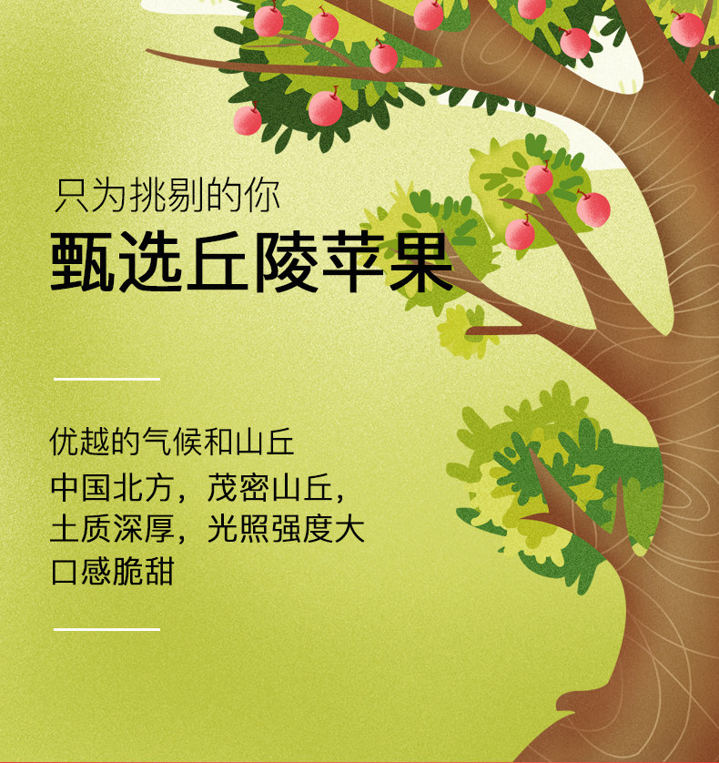 临期特价 汇源 100%浓缩苹果汁饮料 200ml*24盒*2箱 图4