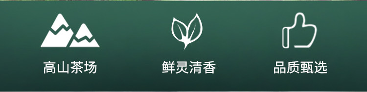 江西老字号 林恩 春蕾 高山云雾茶 200g/罐 图2
