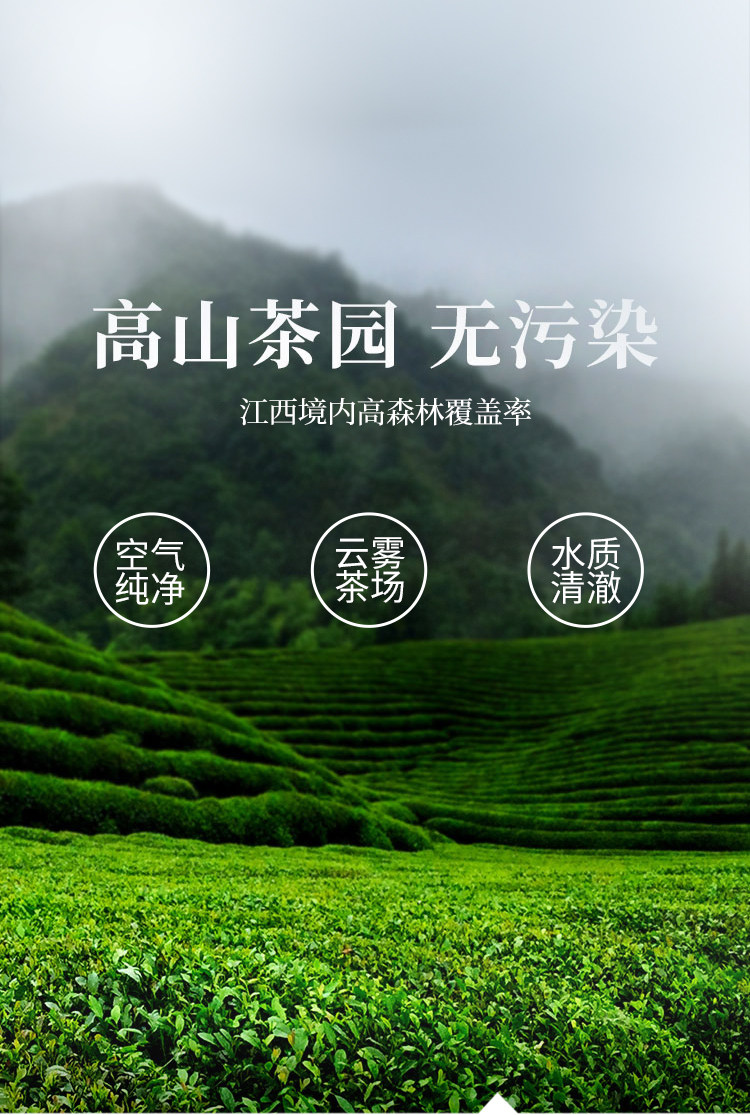 江西老字号 林恩 春蕾 高山云雾茶 200g/罐 图5