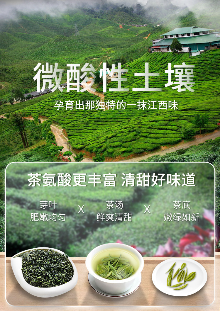 江西老字号 林恩 春蕾 高山云雾茶 200g/罐 图3