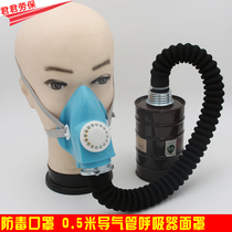 Gas mask Chemical gas dust Formaldehyde fume spray Pesticide spray paint special decoration gas mask full cover