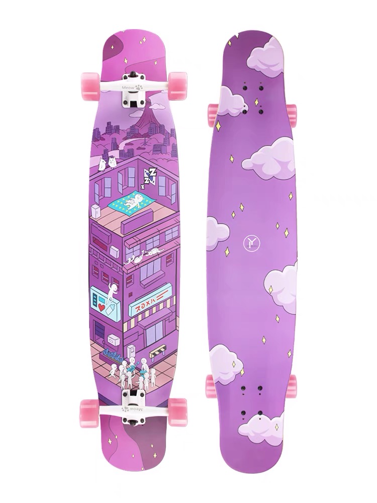 Rebirth long board skateboard beginner girls brush street DC dance board new meow board YI long board professional board