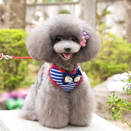 狗狗牵引绳宠物胸背带遛狗绳泰迪狗链子小型犬狗链狗绳子宠物用品