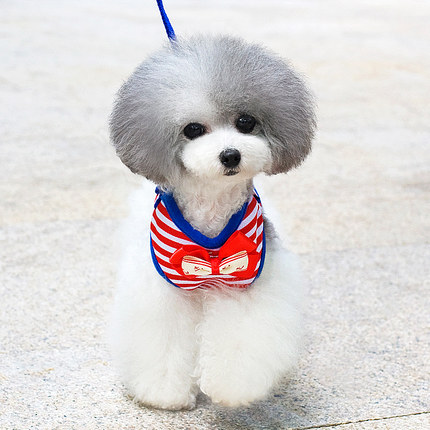 狗狗牵引绳宠物胸背带遛狗绳泰迪狗链子小型犬狗链狗绳子宠物用品