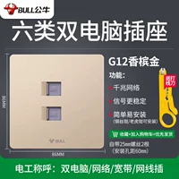 【G12 Big Board Gold】 два шести -типа компьютера