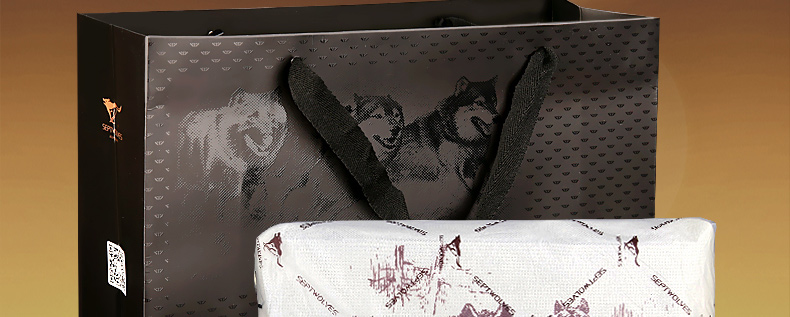 Sac homme - Ref 49481 Image 28