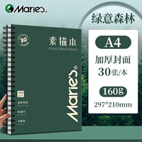 Замечания (необязательно) [Рекомендация начальной школы] A4/Green Forest/Evergreen 160G