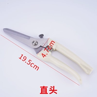 Ножницы для мороженого прямой головы 1