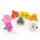 DIY Ручная песочница здания на открытом воздухе миниатюрная ландшафтная материала модель модель цветочных и растений Моделирование шипы