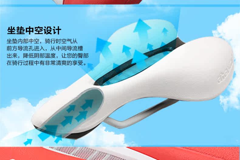 Selle de vélo Mountain Bike CHAUNTS - Ref 2351432 Image 17