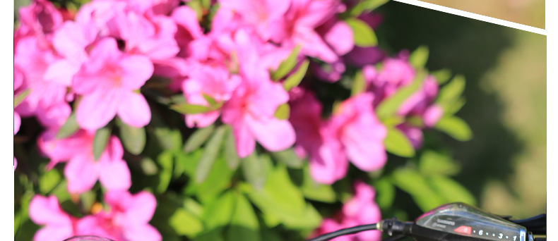 Tableau de bord vélo BOGEER - Ref 2420437 Image 42