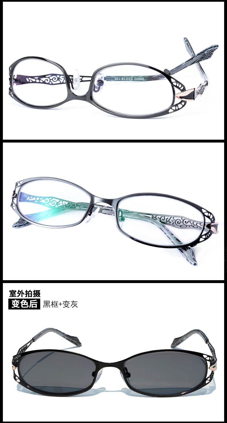 Montures de lunettes en Alliage cuivre-nickel - Ref 3140604 Image 22