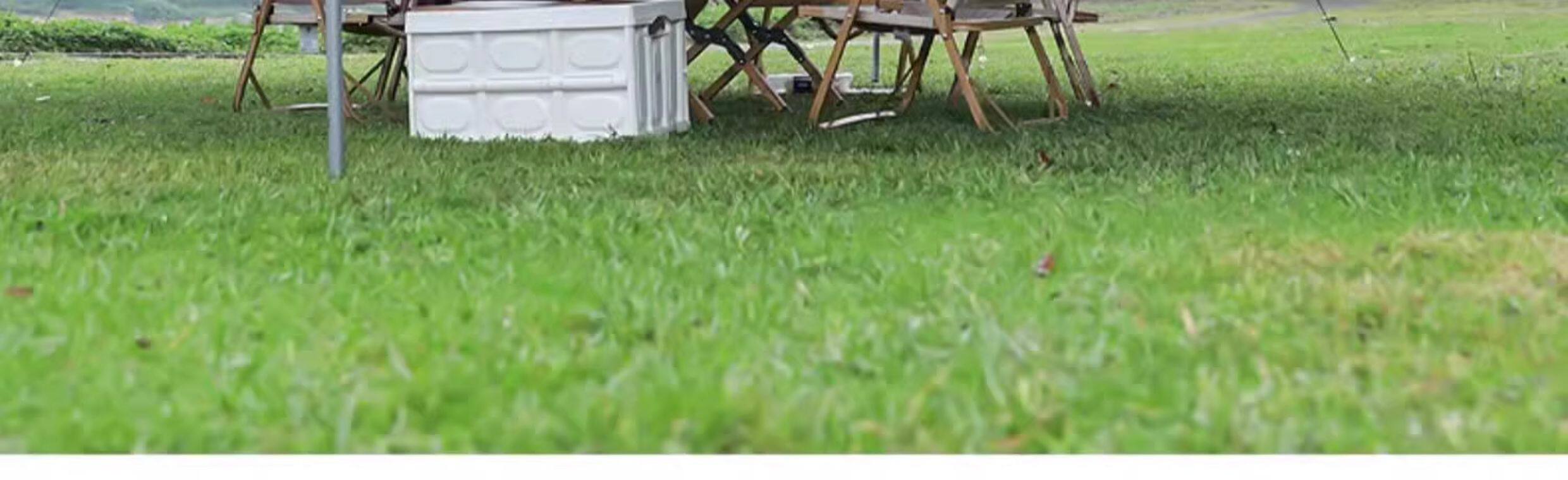 Атриум None Camel