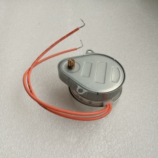 Synchronous motor original 6W