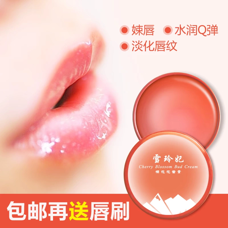 妃 Sakura nụ hoa hồng dưỡng môi dưỡng môi 20g dưỡng môi dưỡng ẩm nhẹ dòng son dưỡng ẩm