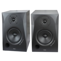 Aiken ICON PX-T6A PX T6A6 inch active monitor speaker single price