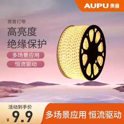 Opp LED light strip living room ceiling super bright home decoration outdoor waterproof 220V Patch Line light bar 1