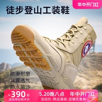 Outdoor hiking shoes for women all-match sports shoes for mountain climbing breathable non-slip hiking desert boots for men professional outdoor shoes for women