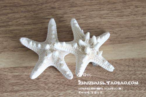 Accessoire cheveux ZHUZHUSL en autre - Ref 1201885 Image 35