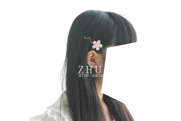 Accessoire cheveux ZHUZHUSL en autre - Ref 1201885 Image 31