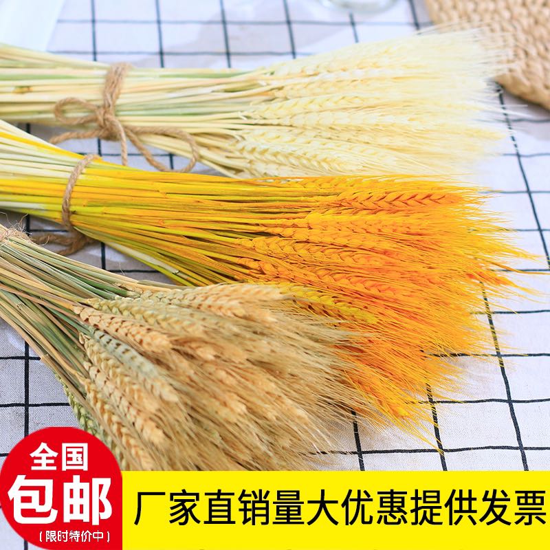 Natural ears of wheat dried flowers opening flower basket Pastoral style decorative ornaments Photography flower arrangement Opening barley gift floral art