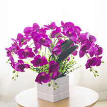 Fresh butterfly orchid green plant potted simulation flower plastic flower silk flower set home decoration ornaments fake flower potted
