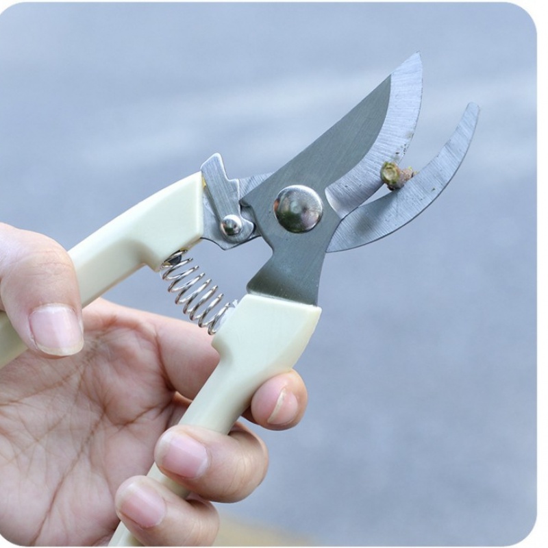 Flower scissors tool Household pruning scissors Fruit set Flower branch pruning Gardening scissors Indoor branch root multi-function