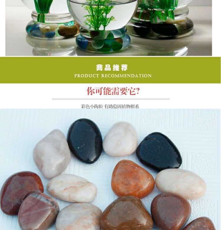 Niềm vui trồng vườn văn hóa nước thủy tinh dày bình đèn lồng hình trụ Palăng cơ sở sáng tạo chậu hoa thủy tinh p413 - Vase / Bồn hoa & Kệ chậu ghép thông minh