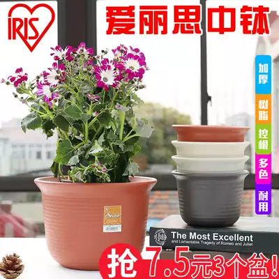 Alice dwarf padded resin plastic flowerpot outdoor courtyard IRIS medium bowl without tray p169
