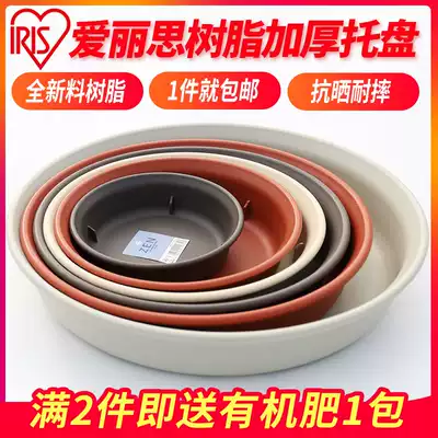 Alice long bowl in the bowl flowerpot water tray gold Gedo meat breathable thickened mobile base factory direct sales