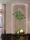 Simulated Plant Landscaping, Decorative Green Plants, Soft Decoration Landscape ‌ Wabi-Sabi Style Interior Arrangement under the Stairs in the Corner of the Entrance Hall