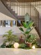 Large-Scale Simulated Green Plants, Landscaping Plants, Indoor Decoration, High-End Light Luxury Office Window Display, Fake Trees under Stairs