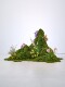 Simulated Moss, Fake Moss Turf, Bionic Artificial Turf, Ferns, Landscaping, Courtyard Green Plants, Micro-Landscape Decoration