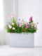 Monet's Garden Artificial Flower Landscaping Indoor Flower Trough Decoration Ornaments Popular Photo Spot Green Plants Fake Flower Decorations